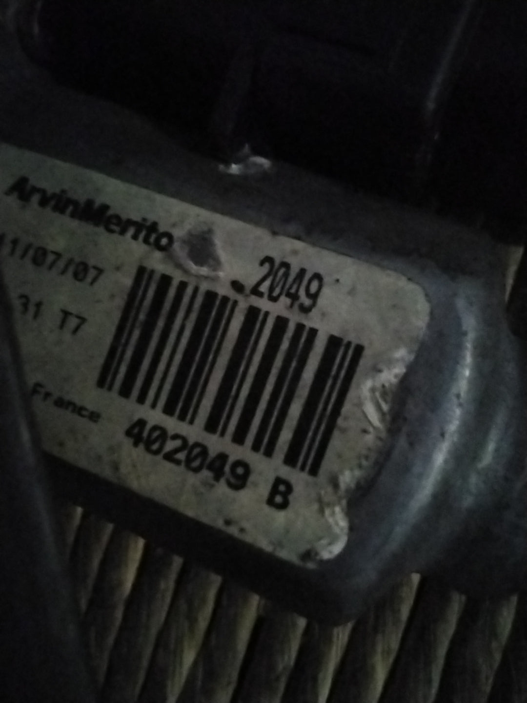 Alzavetro Renault Scenic