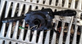 Devioluce peugeot 207 codice 96630730XT