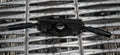 Devioluce peugeot 306 codice 34326503