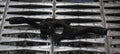 Devioluce audi a4 codice 8E09535496