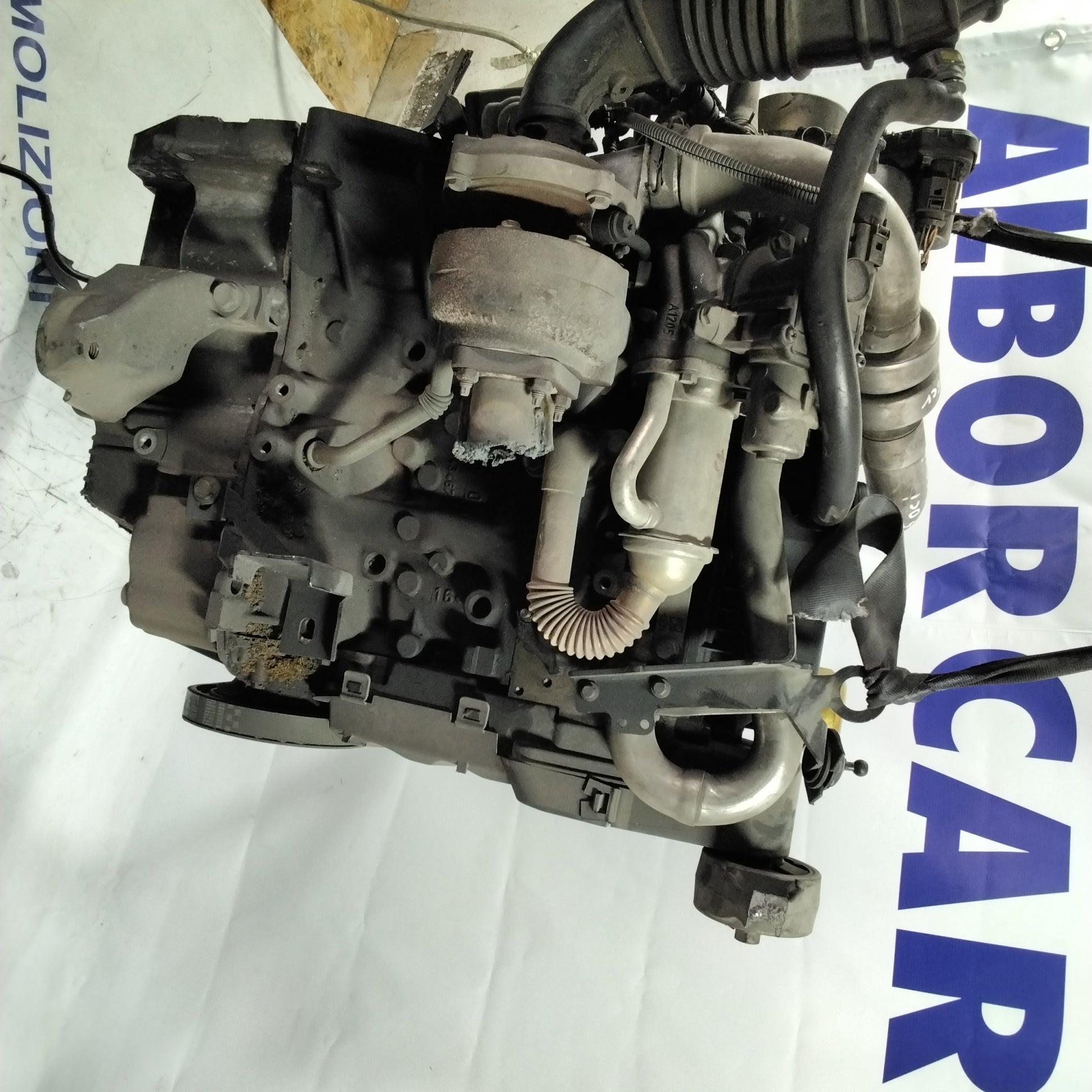 Motore renault scenic /nissan QASHQAI 1.5 DCI 103CV anno 2004/09 codice: K9KP732 (sf1p3)