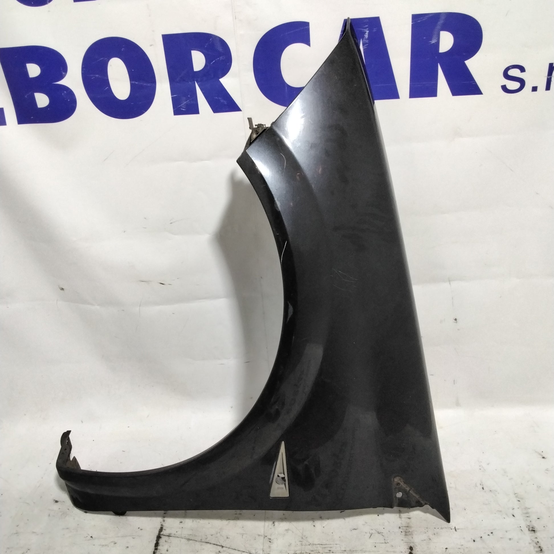guardabarros lateral delantero izquierdo Renault Megane año 2005