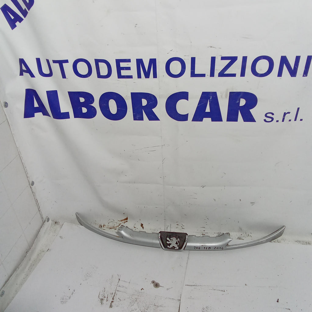 mascherina griglia frontale peugeot 206 1.4 benzina anno 2004