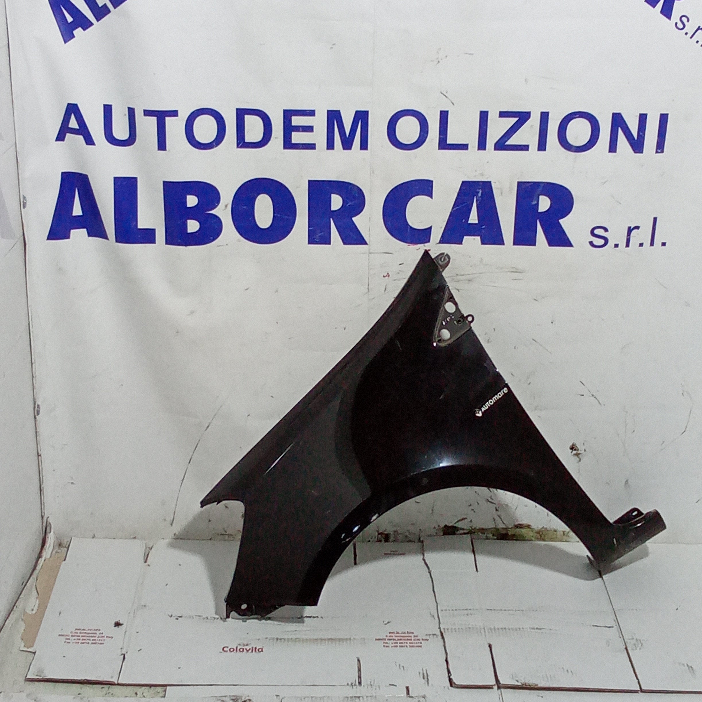 Aleta guardabarros delantera izquierda Renault Clio año 2007