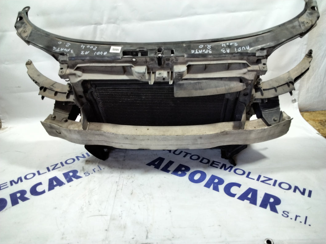 calandra (completa) audi A3  cilindrata: 2.0  3 porte anno: 2004 (sf5.p1)