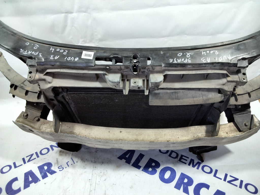 grille (complete) Audi A3 displacement: 2.0 3-door year: 2004 (sf5.p1)