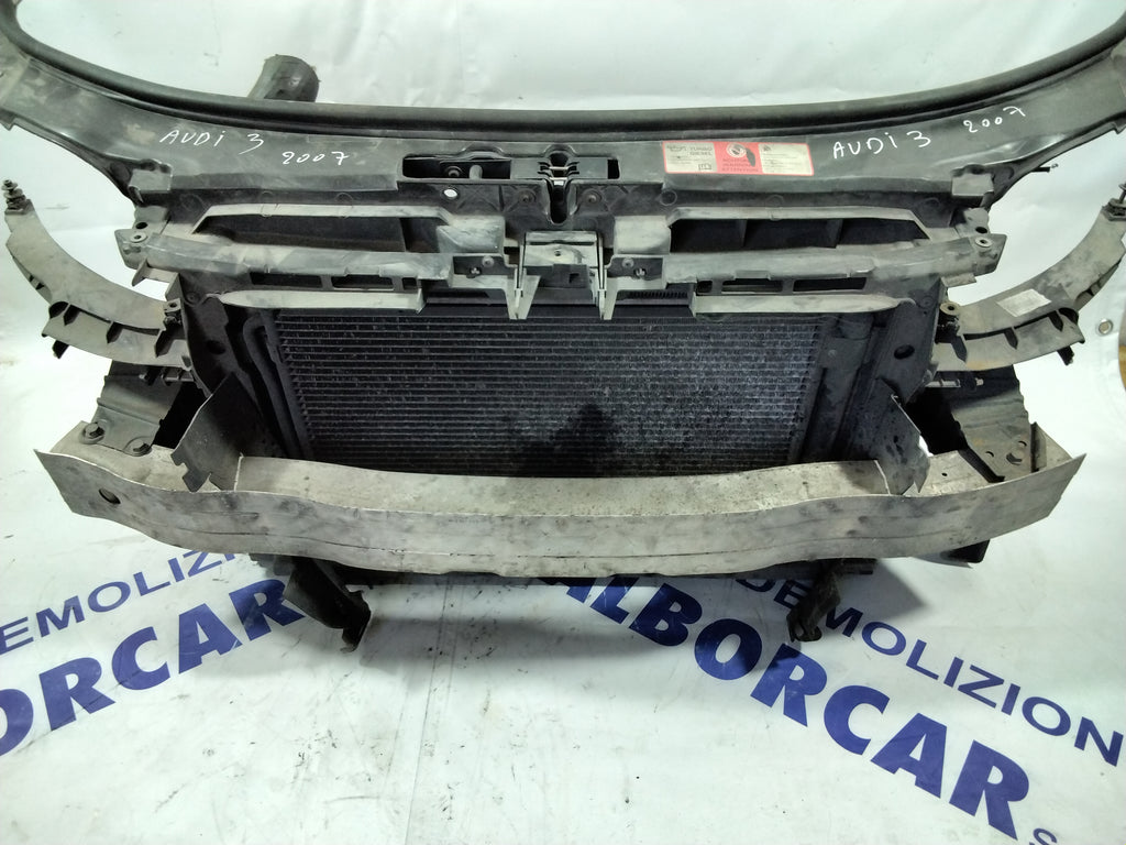 grille (complete) Audi A3 displacement: 2.0 TDI year: 2007 (sf5.p2)