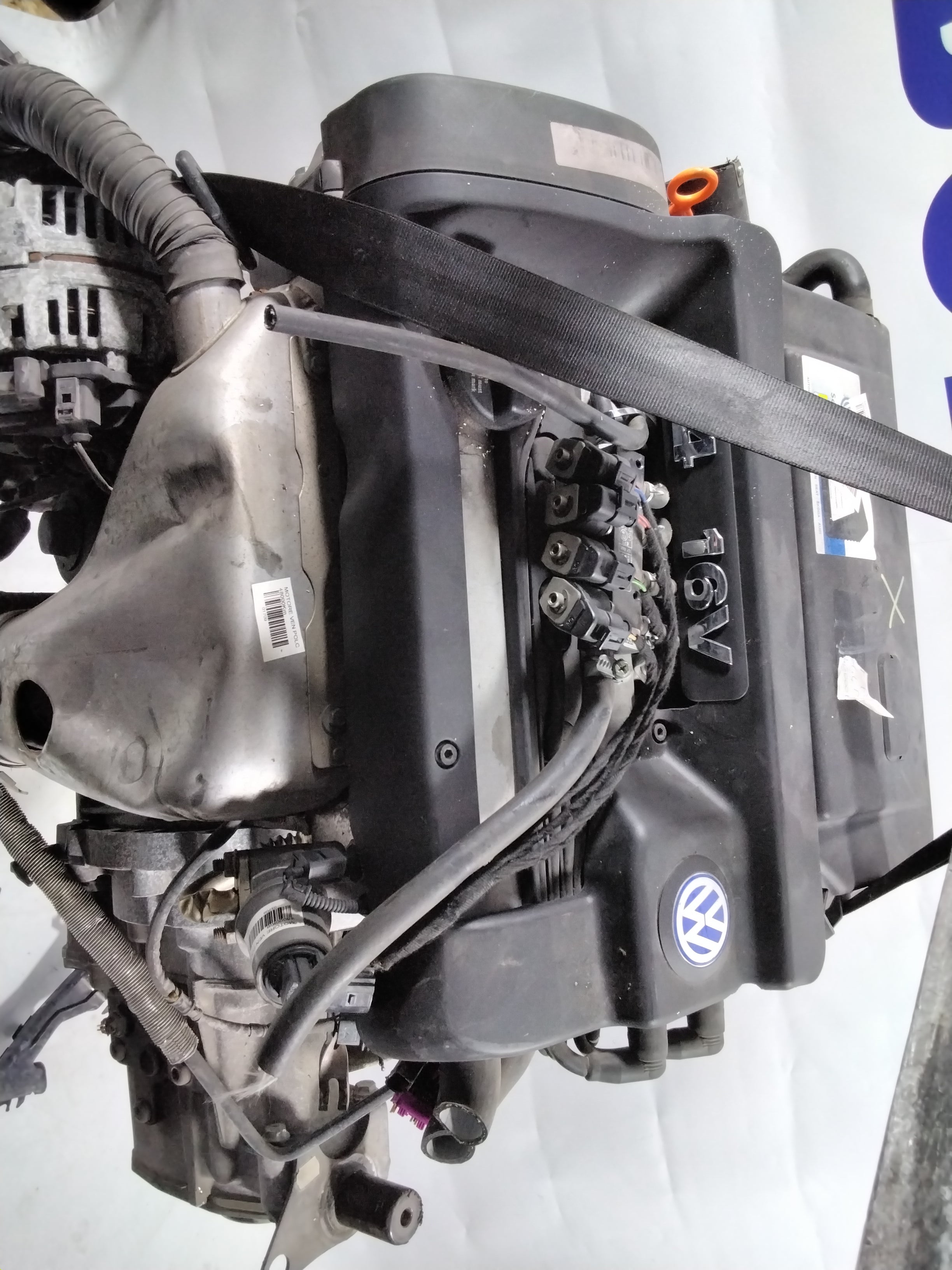 Engine Volkswagen Polo 1.4 16V year: 2000 code: 030103019L (sf1p1)