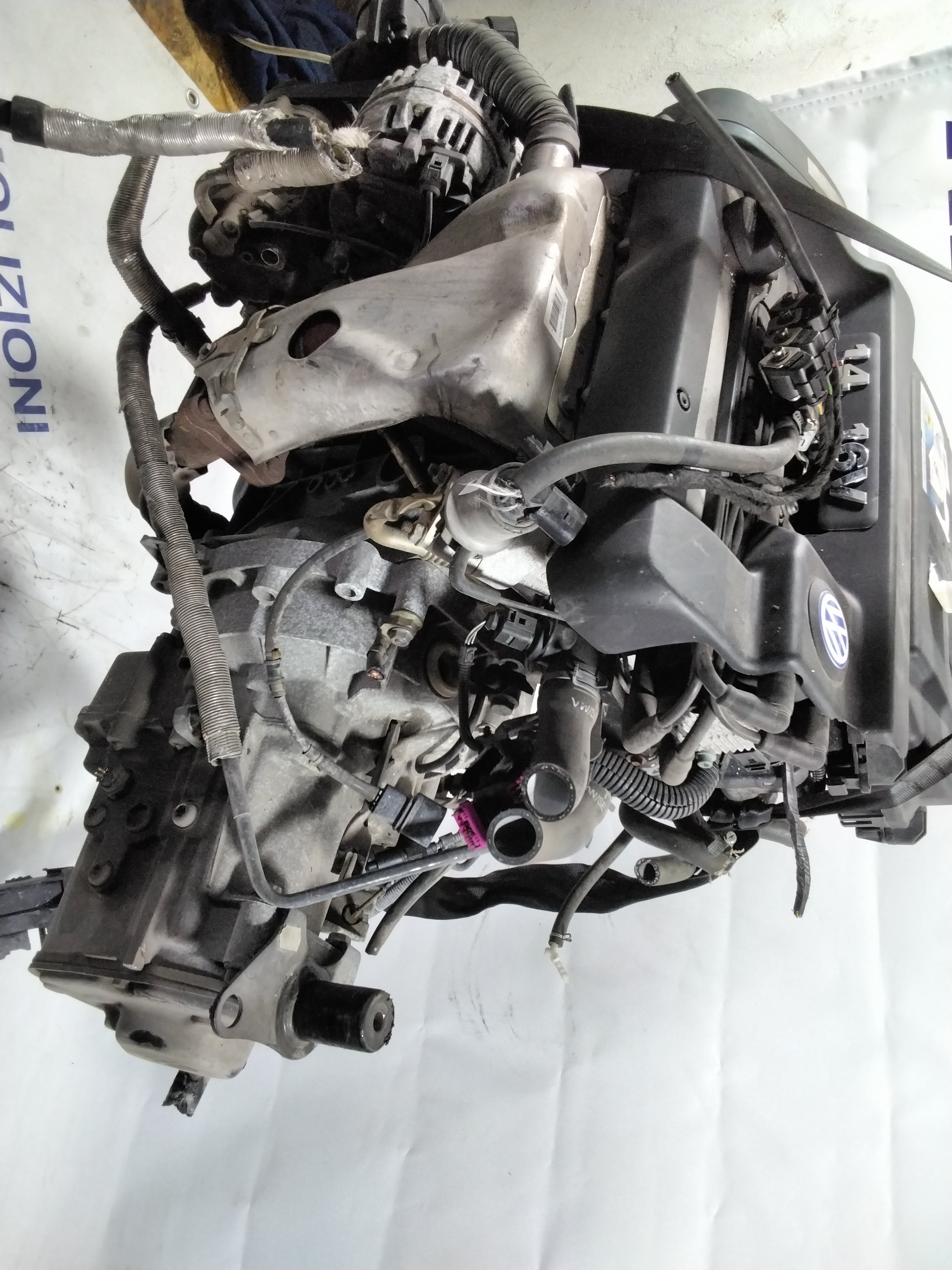 Engine Volkswagen Polo 1.4 16V year: 2000 code: 030103019L (sf1p1)