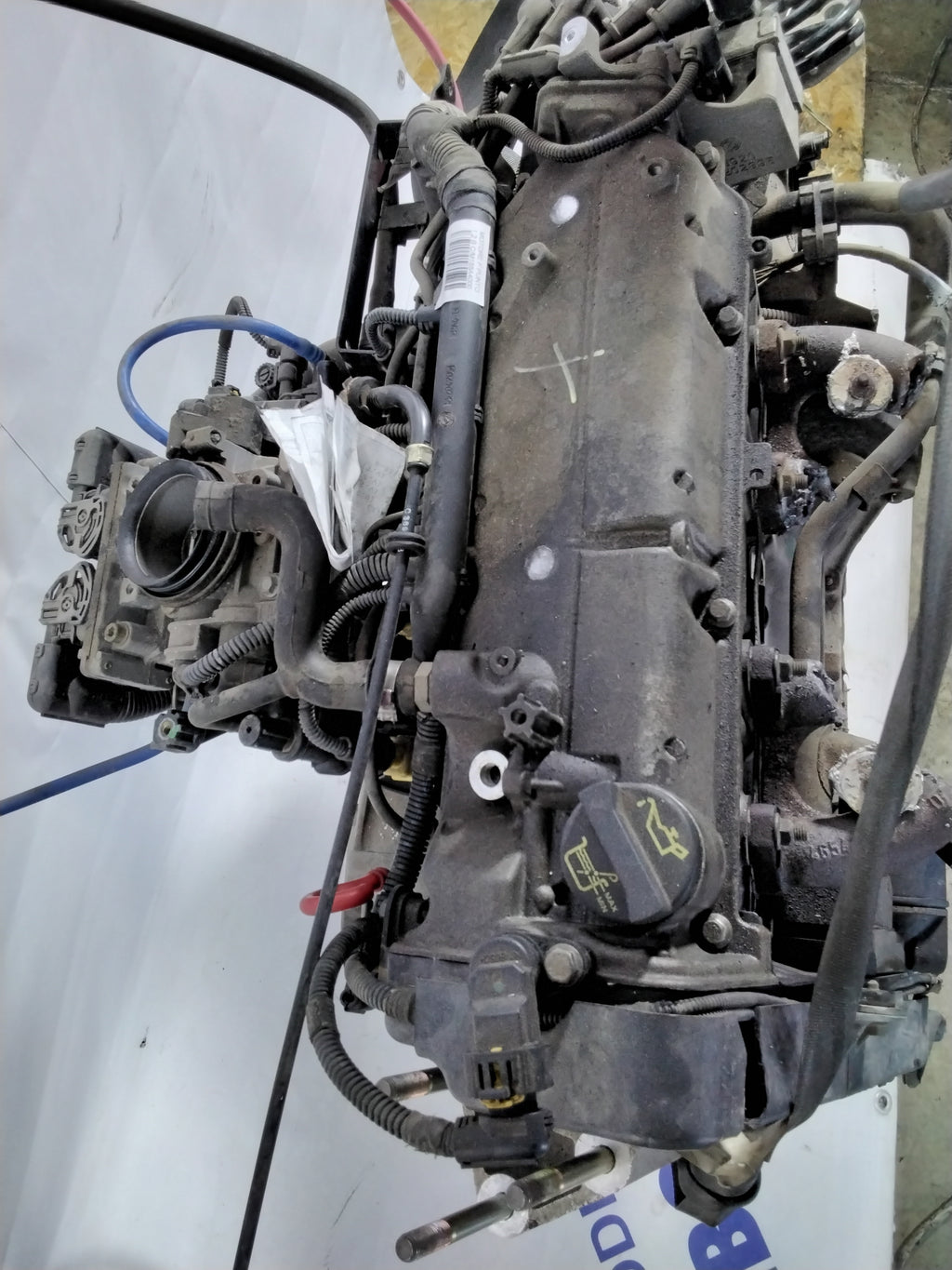 Fiat Grande Punto 1.2 petrol 8V engine year: 2006 code: 188AXA1A00AD (sf1p1)