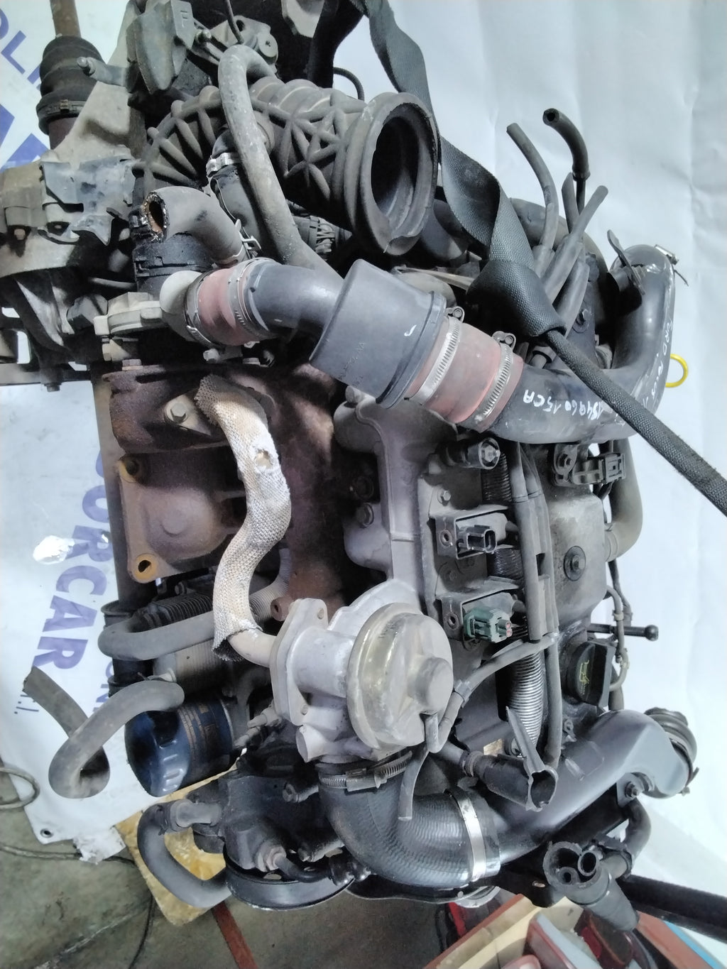 Ford Focus 1.8 TDCI engine year: 2002 66kw 90hp code: 1S4Q6015CA (sf1p1)