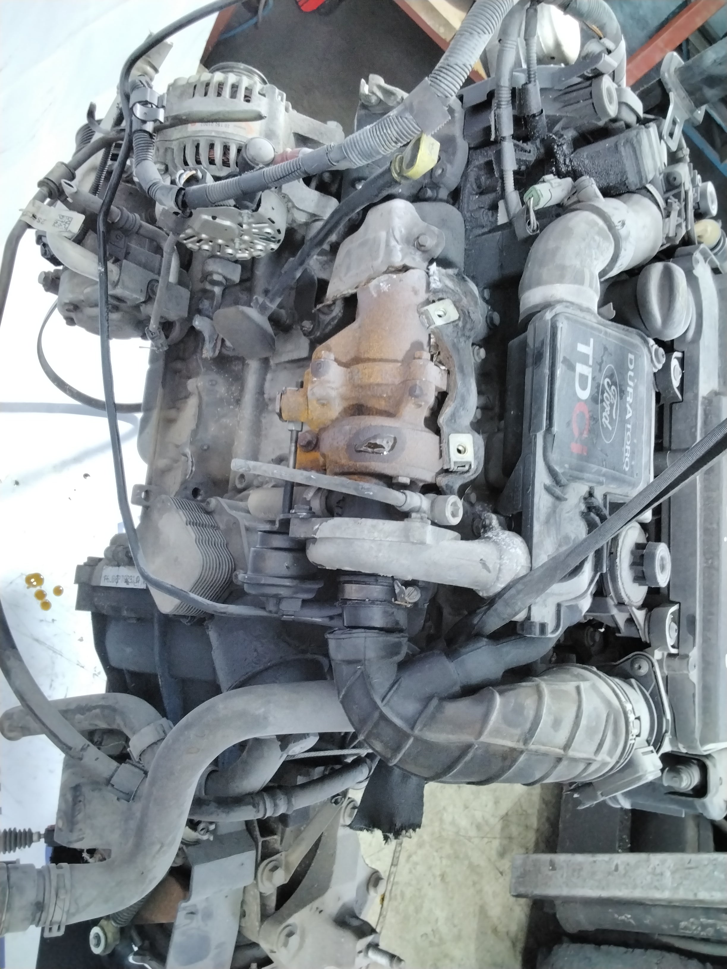 Ford Fiesta 1.4 TDCI engine Year: 2004/2008 Code: 3S6007BF/F6JD (sf1p2)