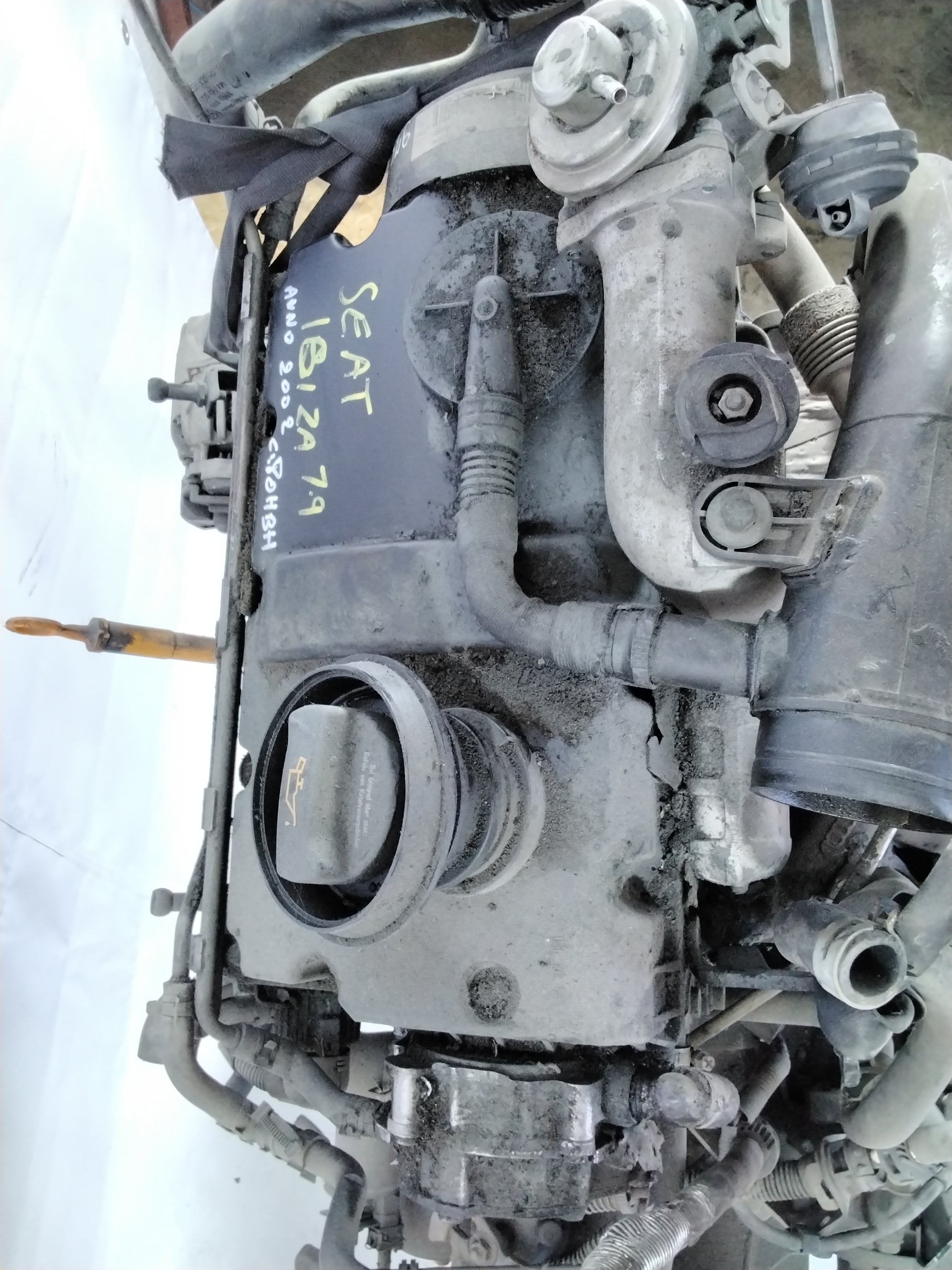 Engine Seat Ibiza 1.9 TDI year 2002 code: 80HBH (sf1p2)