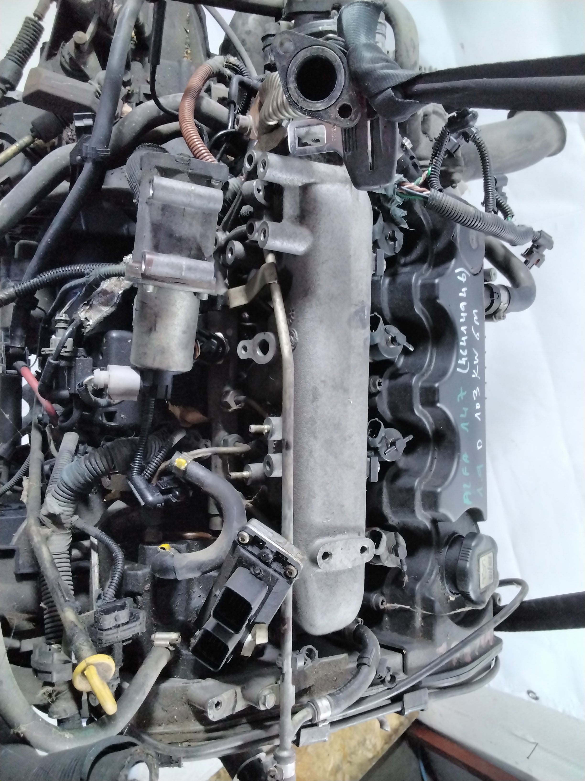 Motore alfa romeo 147 1.9 jtd anno 2002 103kw codice : 46414946 (sf1p2)
