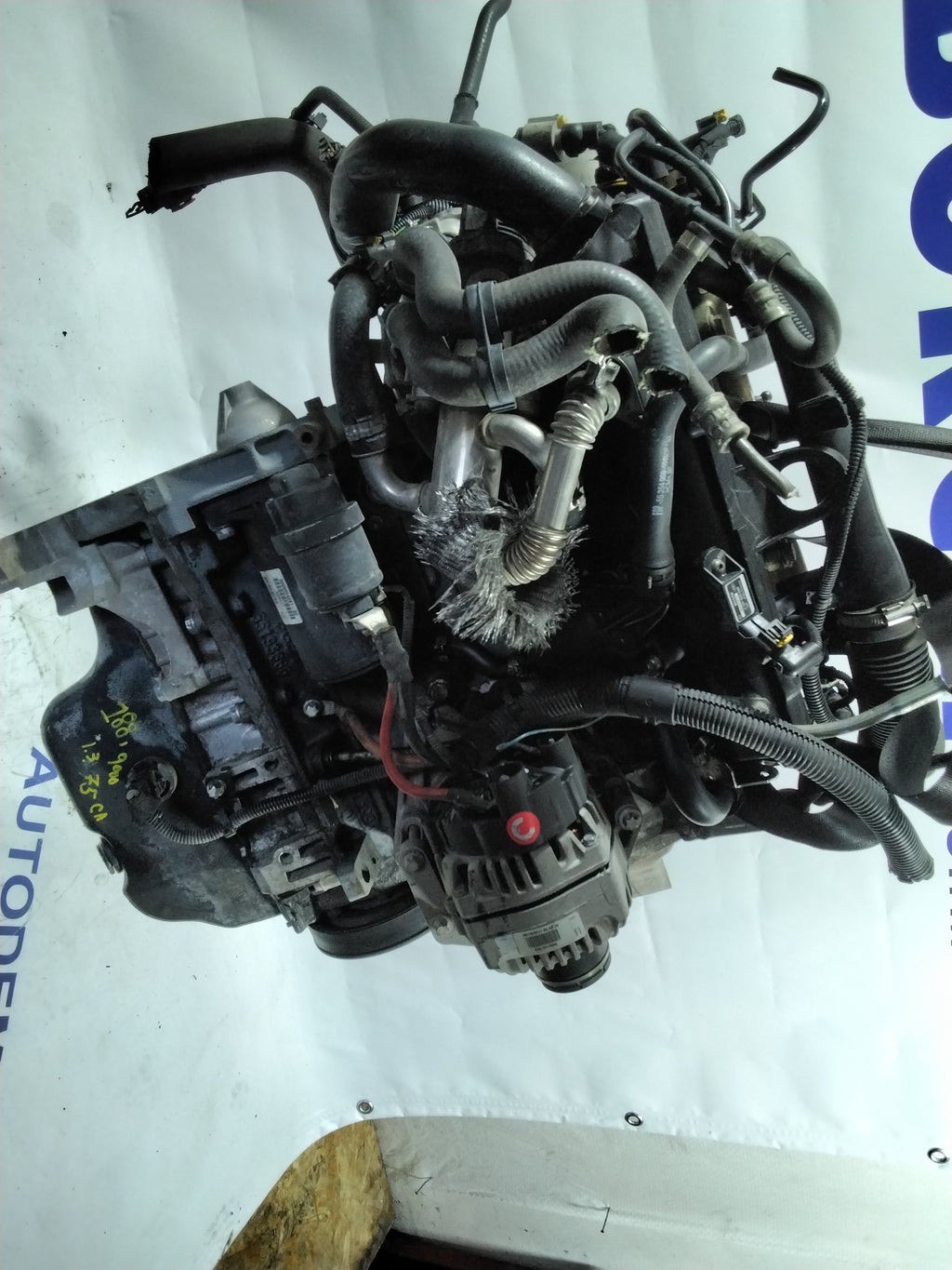 Fiat Punto 1.3 Multijet engine, year 2004, code: 188A9000 (sf1p3)
