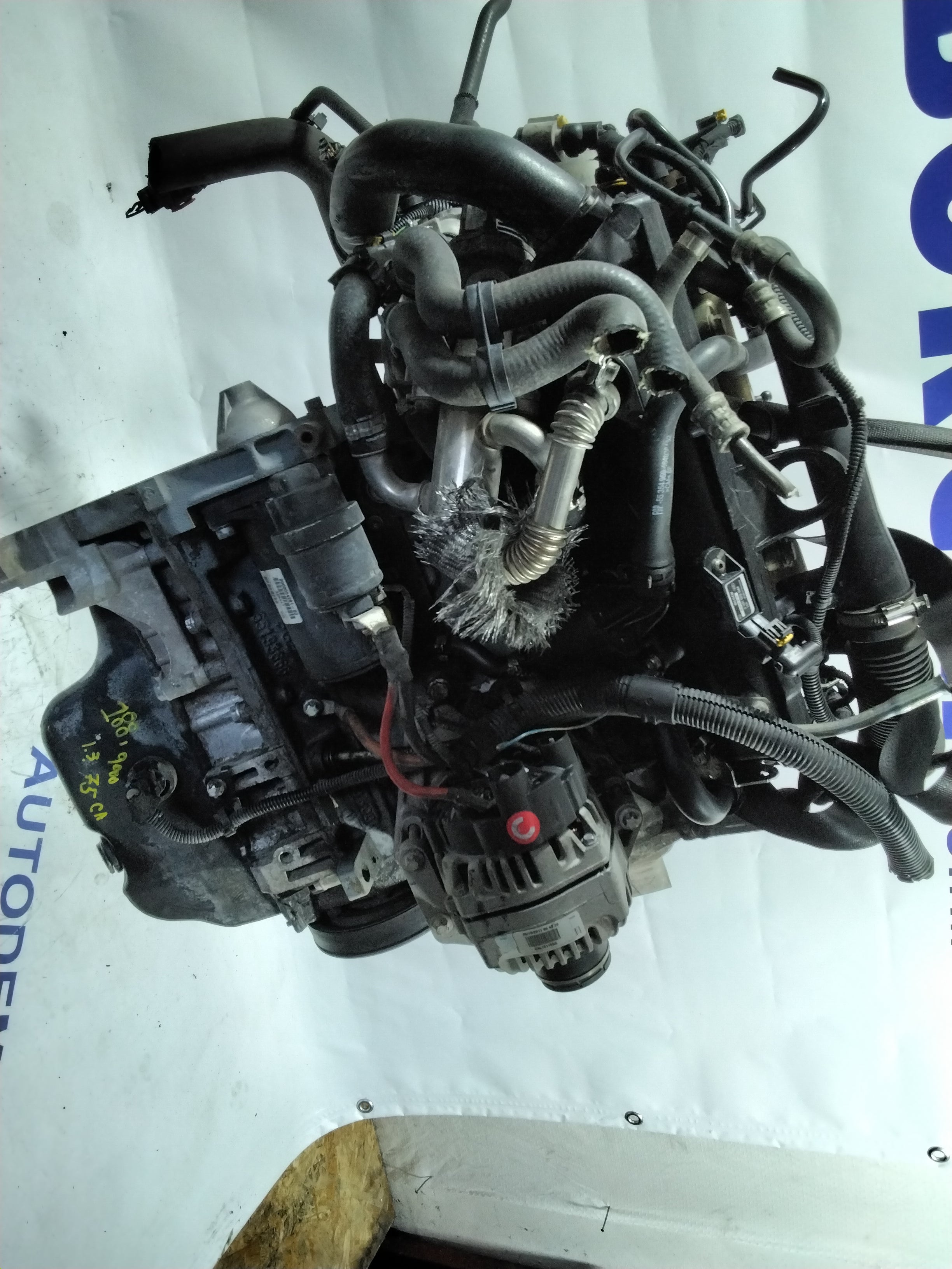 Fiat Punto 1.3 Multijet engine, year 2004, code: 188A9000 (sf1p3)