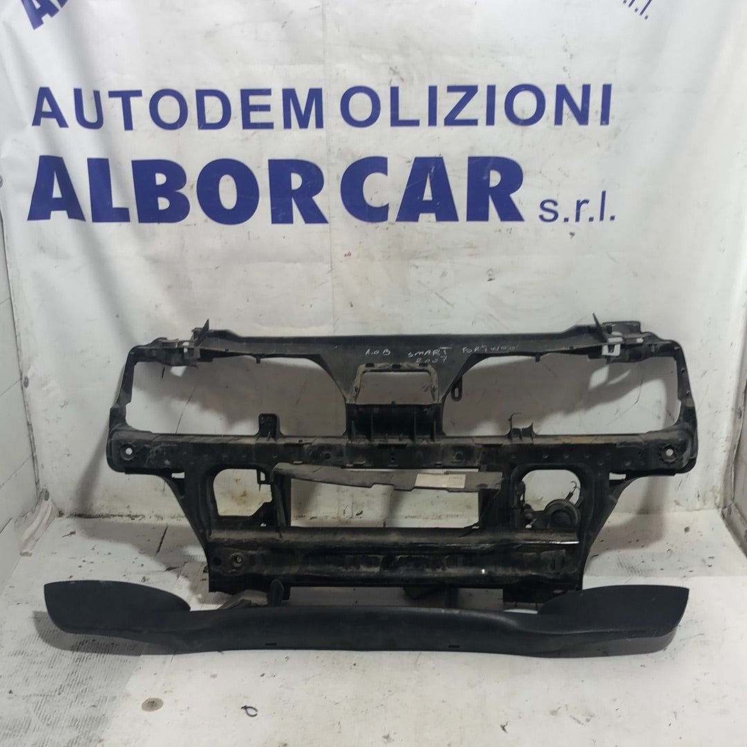Calandra Smart fortwoo 1000 benzina anno 2007