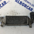 Radiatore intercooler Ford Focus