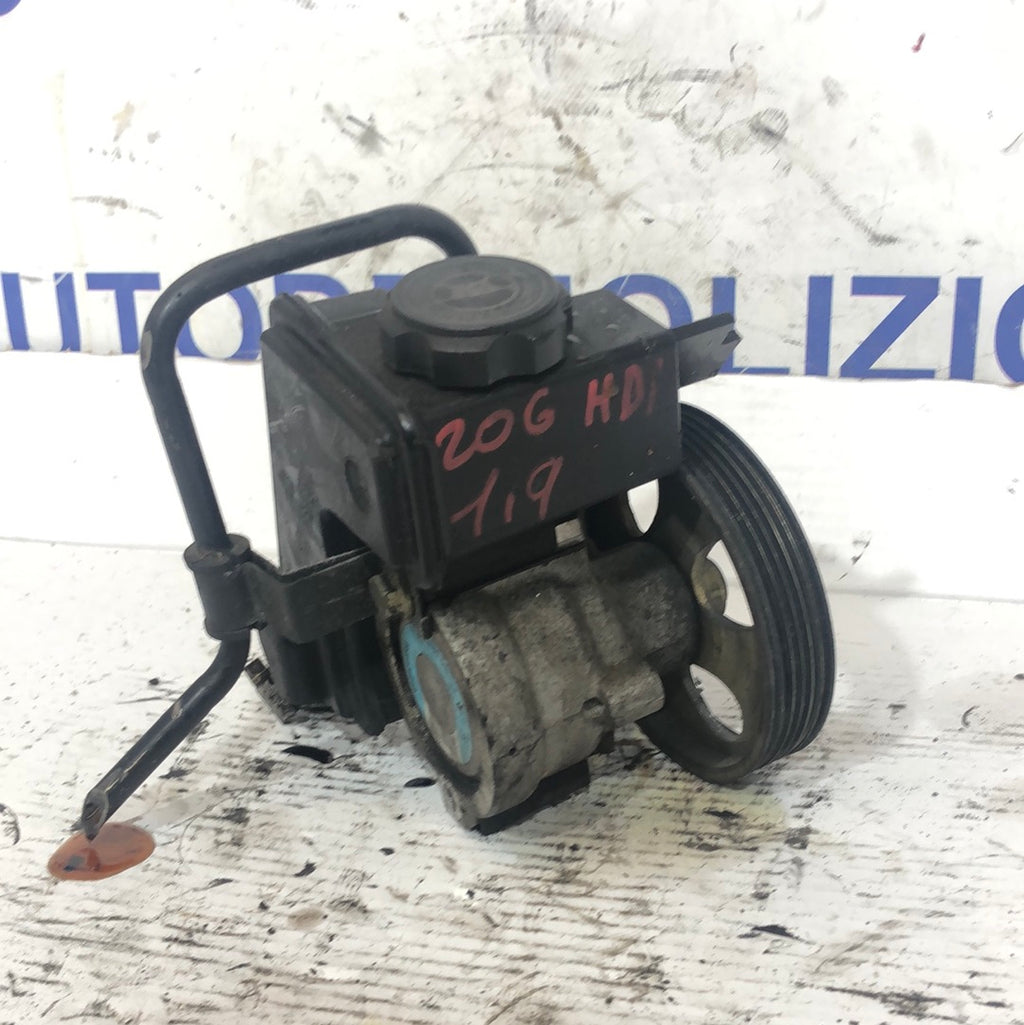 Pompa idroguida servosterzo Peugeot 206 1.9 hdi