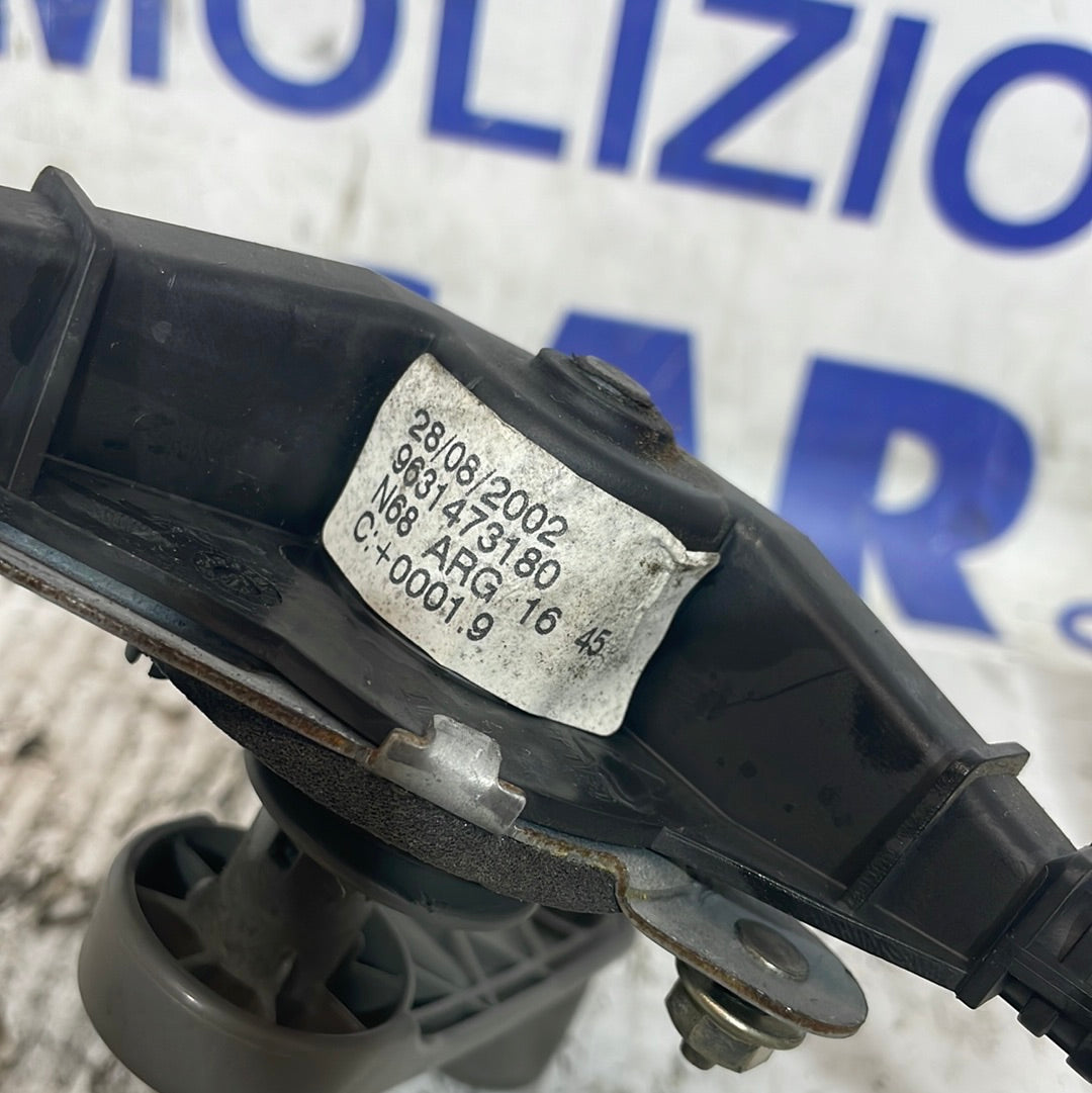 Alzavetro citroen xsara posteriore dx 2002